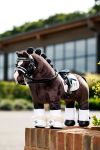 Lemieux Mini Toy Pony - Valegro Dressage Horse Set - Saddle Bridle Square Overreach Boots Bandages