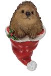 Christmas Hedgehog in Xmas Hat Hanging Decoration H7.5cm - Vivid Arts BG-CH71-G