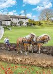 Birthday Card - Working Horses Ploughing - Country Cards