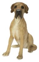 Vivid Arts Great Dane Dog Beige - Garden Ornament H25cm - Indoor or Outdoor