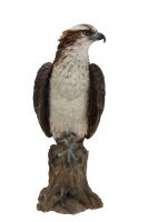 Osprey Bird - Lifelike Garden Ornament 40cm - Indoor or Outdoor - Vivid Arts