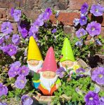 Garden Gnomes Bright Shiny 3 Colours - Gift Envy