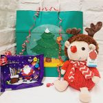 Christmas Red Hedgehog Plush Soft Toy Keel & Cadburys Selection Box Gift Set