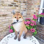 Sitting Fox - Lifelike Garden Ornament - Indoor or Outdoor - Real Life Vivid Arts