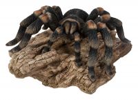 Tarantula Spider - Lifelike Garden Ornament - Indoor or Outdoor - Real Life Vivid Arts