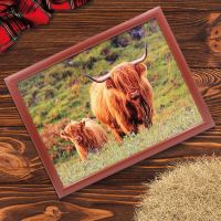 Highland Cow & Calf Laptray Cushion Bean - Lesser & Pavey