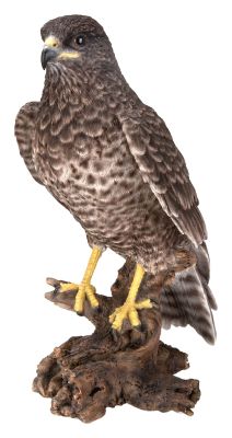 Common Buzzard - Lifelike Garden Ornament 31cm - Indoor or Outdoor - Vivid Arts