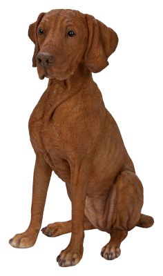 Vivid Arts Hungarian Visla Dog - Garden Ornament 24cm - Indoor or Outdoor