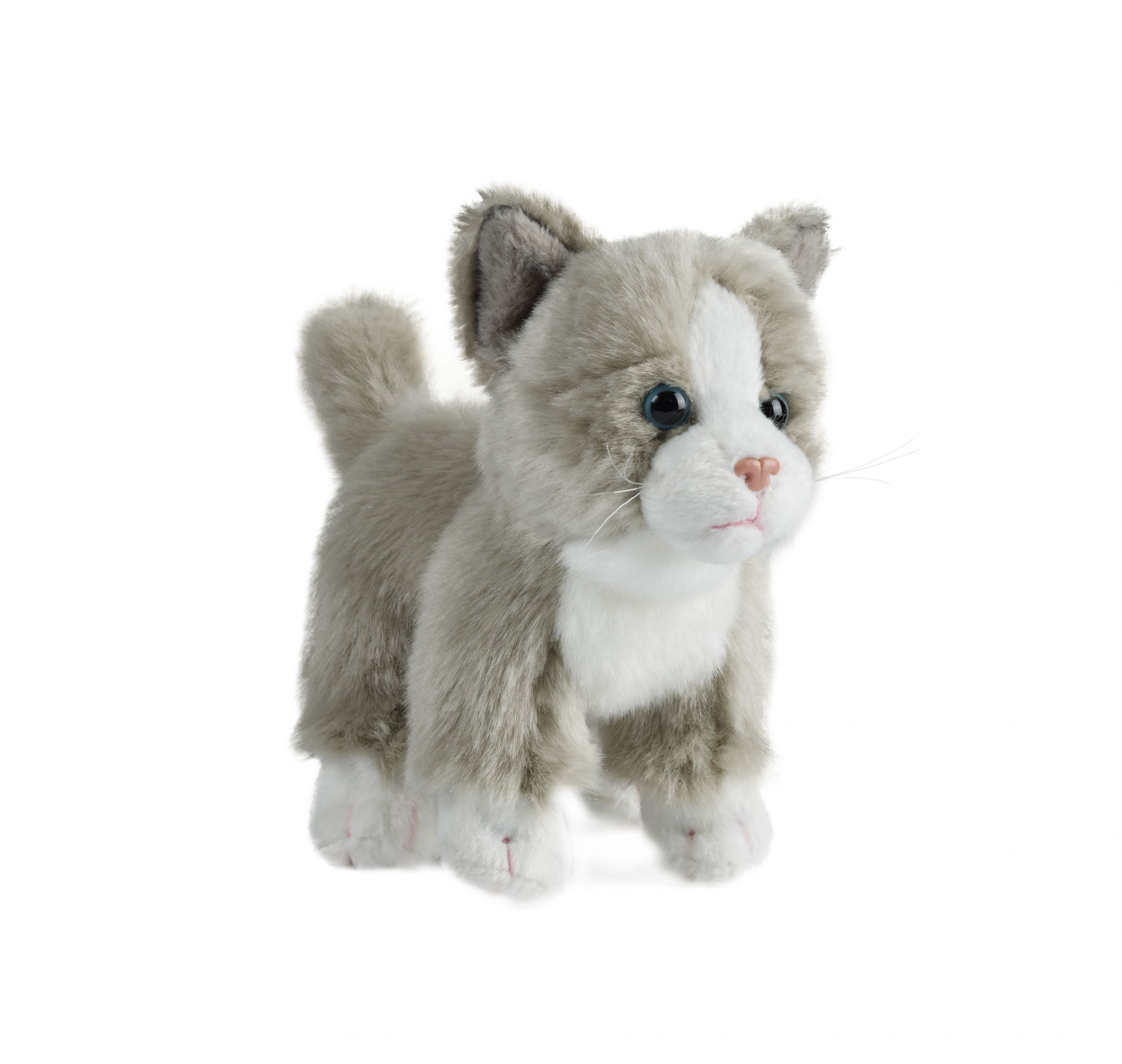 small cat soft toy