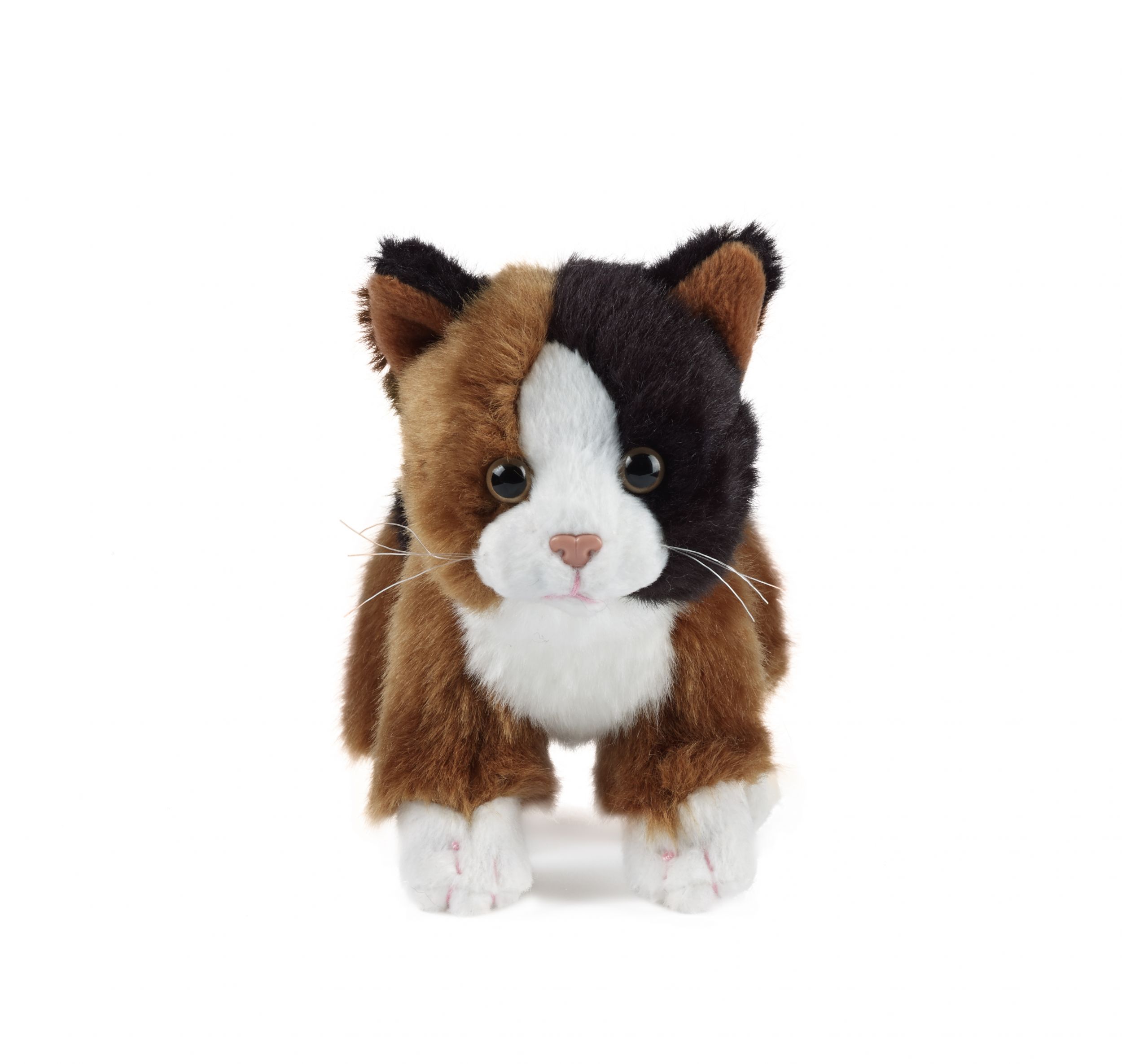 small cat soft toy