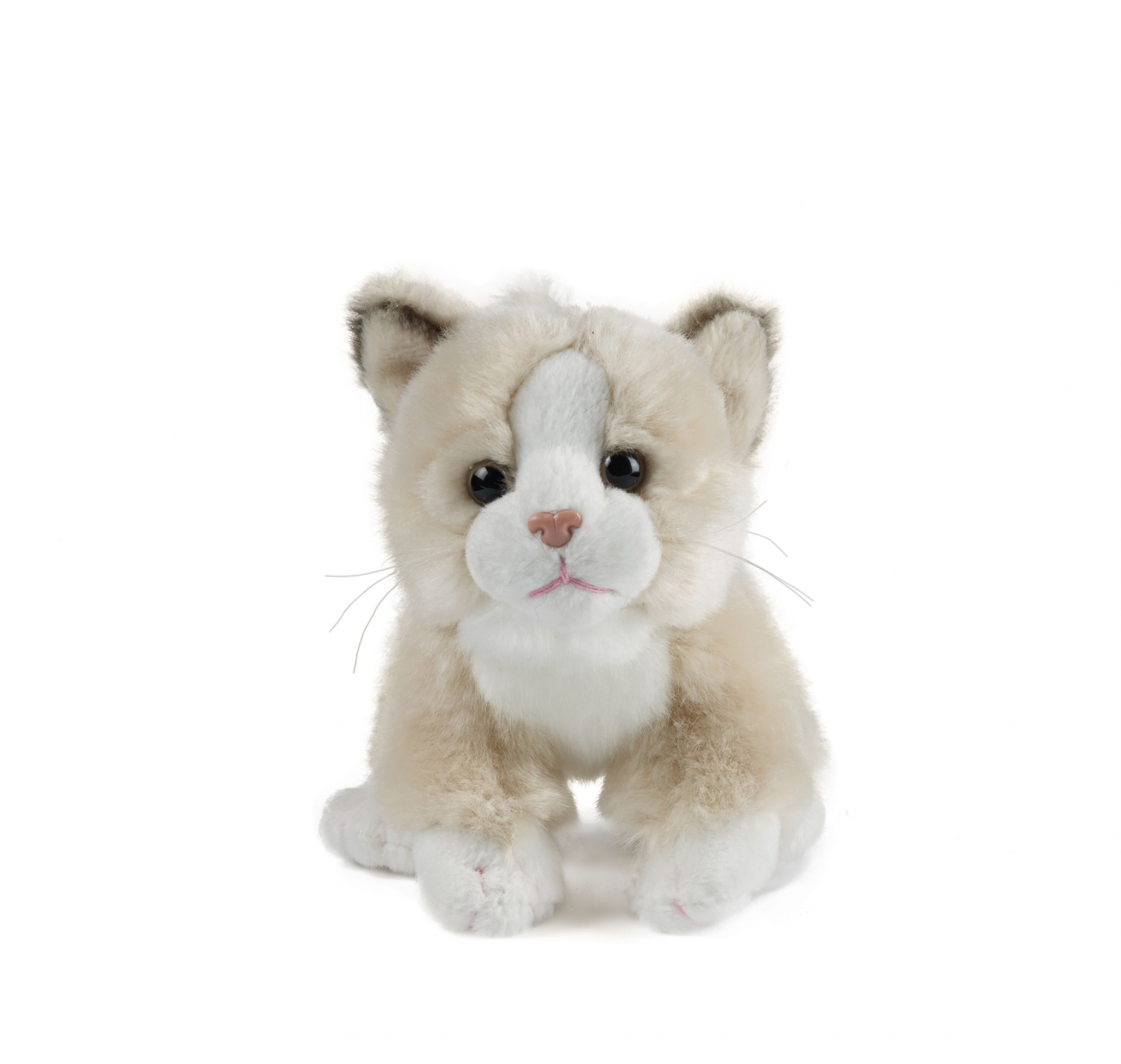 small cat soft toy