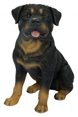 Vivid Arts Rottweiler Dog - Garden Ornament 19cm - Indoor or Outdoor