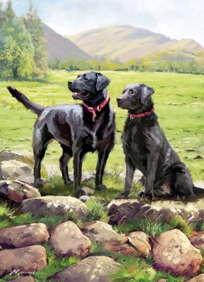 Birthday Card - Black Labrador Dog Pair - Country Cards