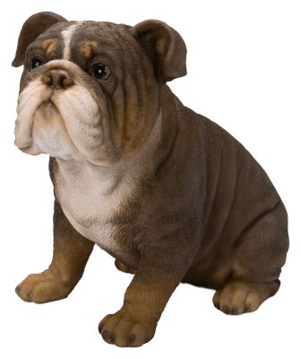 Vivid Arts Tricolour Bulldog Dog - Garden Ornament H16.5cm - Indoor or Outdoor