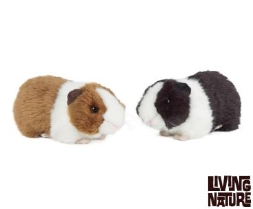 Cuddly toy guinea clearance pig