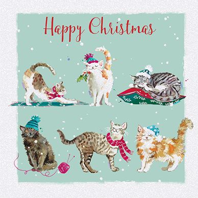 Charity Christmas Card Pack 6 Cards Xmas Cat Purr Fect Glittered Gift Envy