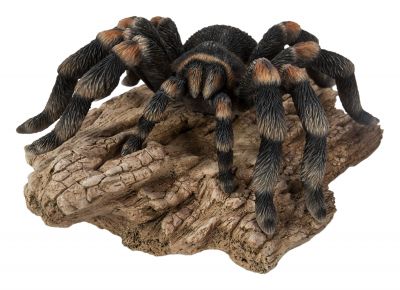 Tarantula Spider - Lifelike Garden Ornament - Indoor or Outdoor - Real Life Vivid Arts