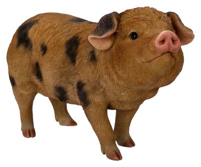 Vivid Arts Oxford Pig Sandy & Black Standing - L37cm Lifelike Home Garden Ornament