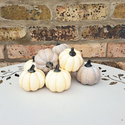 Autumn Pumpkin Assorted Cream & Grey - 10 in a net - Sincere