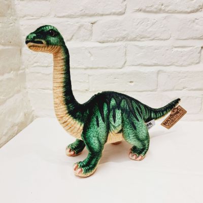 Dinosaur Plush Soft Toy 12