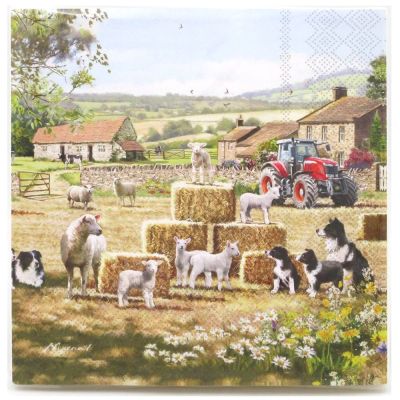 Farm Collie Sheep Tractor Paper Napkin - 60 Napkins 3 x 20 Pack - Lesser & Pavey