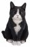 Cat Sitting - Lifelike Garden Ornament - Indoor or Outdoor - Real Life - 4 Colours Vivid Arts