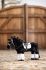 Lemieux Toy Pony - Skye Dressage Set Double Bridle Saddle Bandages Pad Overreach Boots