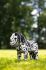 Lemieux Mini Toy Pony Dakota - Appaloosa Black