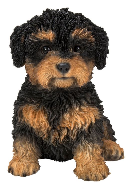 Cavapoo ornament hotsell