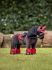 Lemieux Toy Pony - Freya Set - Chilli Black Bridle Saddle Bandages Pad Hood