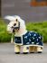 Lemieux Toy Pony Lemon - Shetland Rescue Pony Set Headcollar Rug Bandages