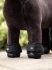 Lemieux Mini Toy Pony Accessories - Black Over Reach Boots