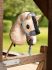 Lemieux Hobby Horse Accessories - Glacier Vogue Headcollar & Lead Rope AU24