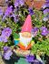 Garden Gnomes Bright Shiny 3 Colours - Gift Envy