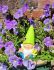 Garden Gnomes Bright Shiny 3 Colours - Gift Envy