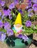 Garden Gnomes Bright Shiny 3 Colours - Gift Envy