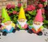 Garden Gnomes Bright Shiny 3 Colours - Gift Envy