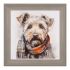 Teddy - Airedale Terrier Dog - Wall Art Framed -  Art Marketing - Joanne Lea