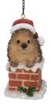 Christmas Hedgehog in Chimney Hanging Decoration H8cm - Vivid Arts BG-HC72-G