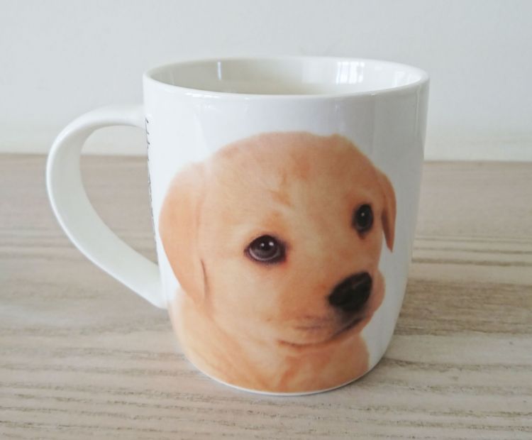 Mug puppies clearance