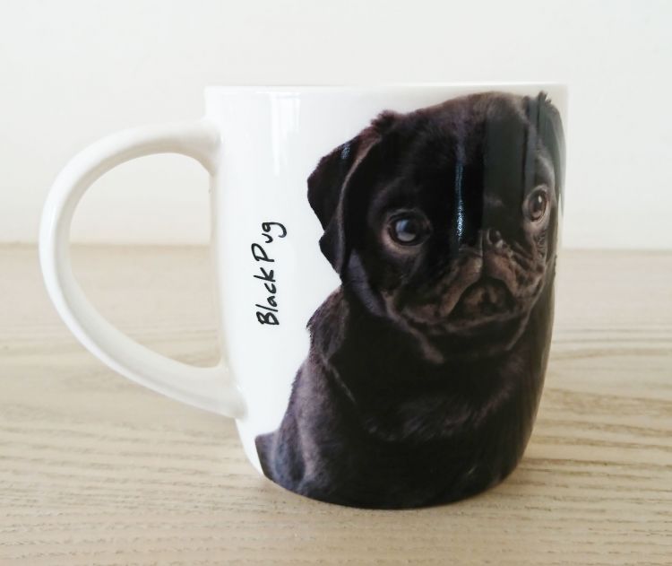 Pug Dog or Puppy Mug Dog Lovers Gift 2 Designs Gift Envy