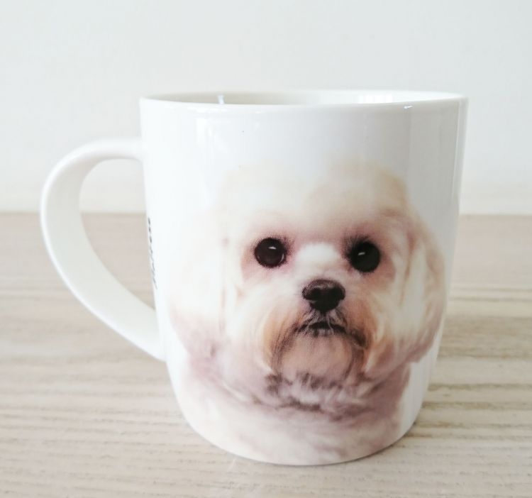 Gifts for maltese outlet dog lovers