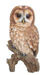 Tawny Owl - Lifelike Garden Ornament - 17cm - Indoor or Outdoor - Real Life Vivid Arts